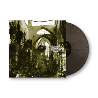 DER WEG EINER FREIHEIT Agonie LP SILVER BLACK MARBLED [VINYL 12"]